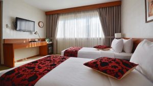 elyseehotelshiraz-6