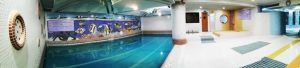 parmida-hotel-mashhad-8